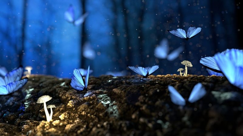 Magic Realism