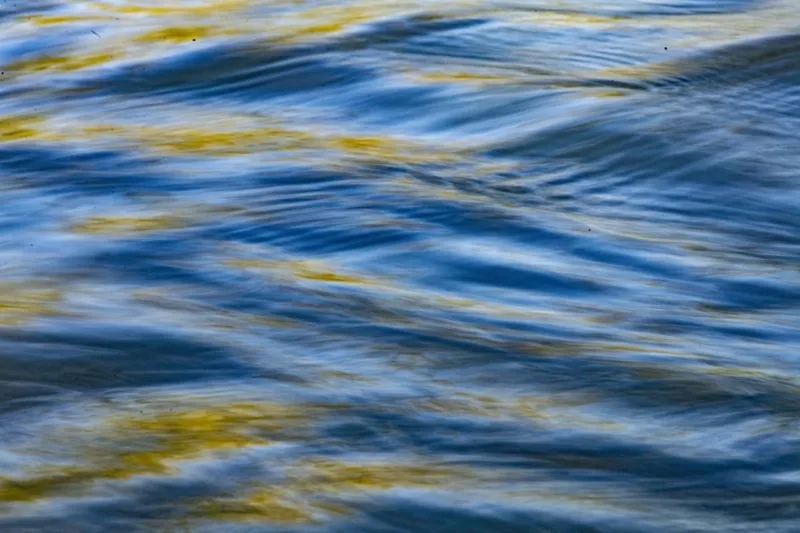 Stream of consciousness