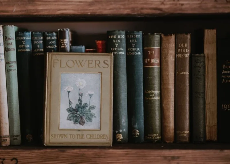 Leitmotif in literature