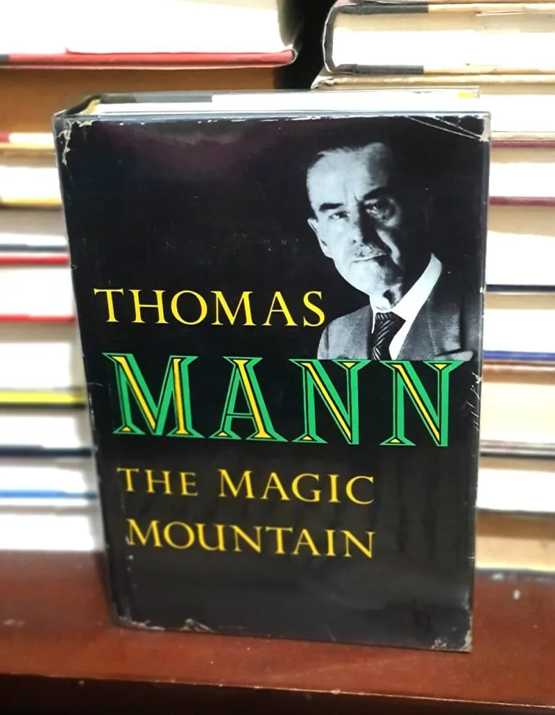 The Magic Mountain by Thomas Mann