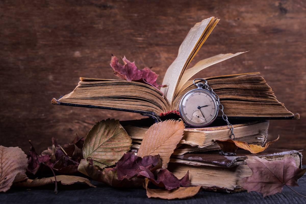 The enduring qualities of fiction: what makes a novel a classic?