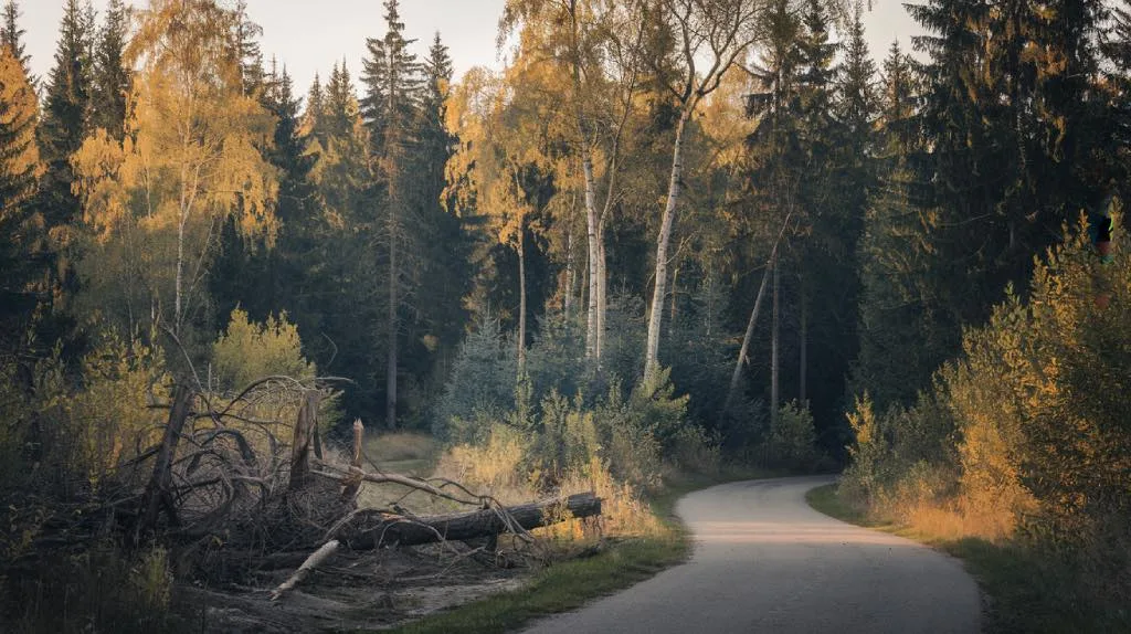 "The Road Not Taken" by Robert Frost